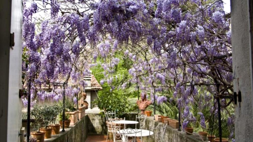 a garden with purple wisterias on a fence at Locanda Sant' Agostino in Lucca