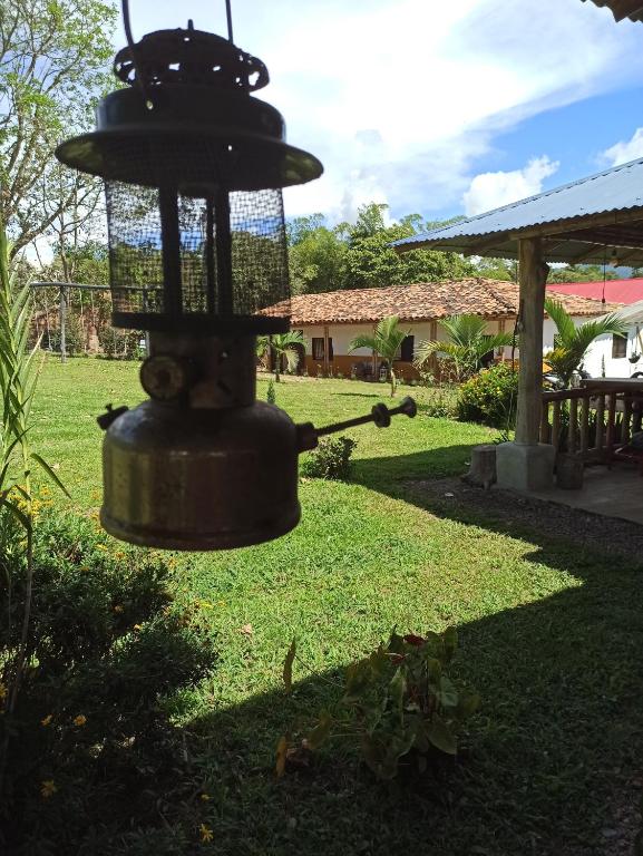 un nourrisson d'oiseaux dans la cour d'une maison dans l'établissement Casa Amarilla Pinar del Rio San Agustín H, à San Agustín