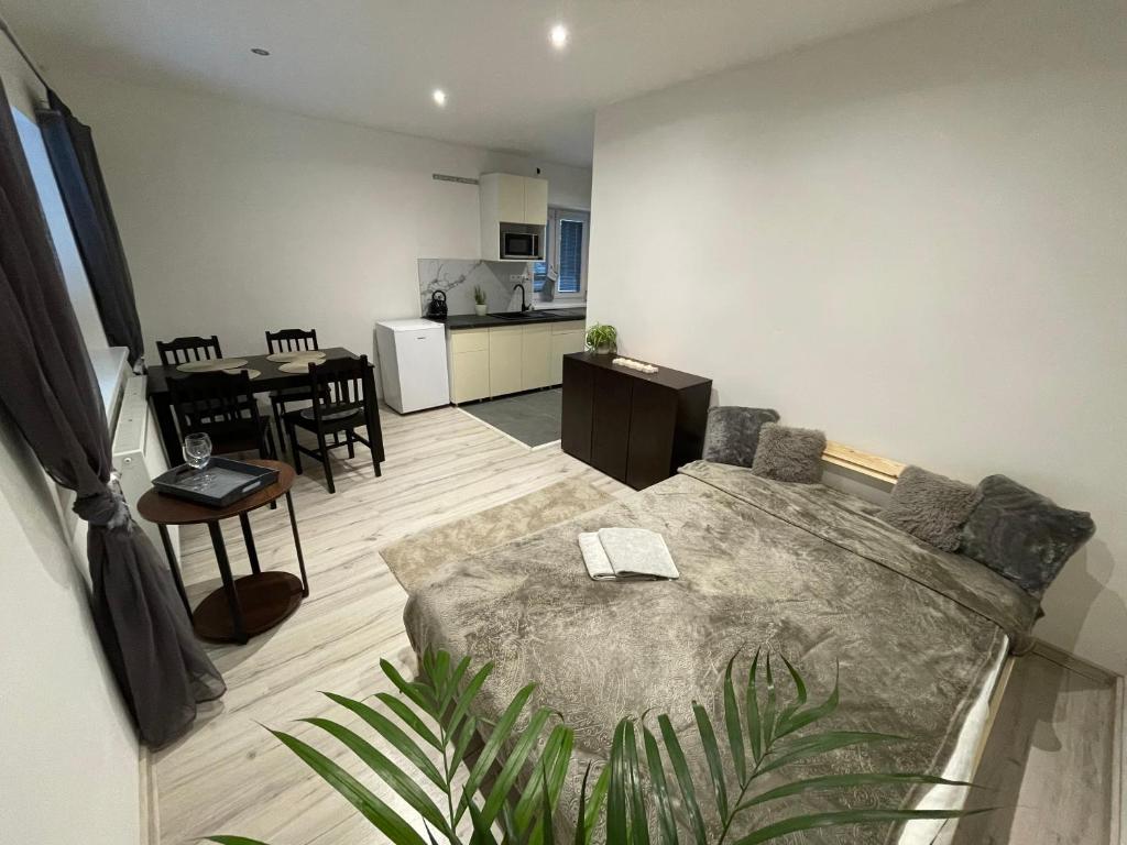 Kuchyň nebo kuchyňský kout v ubytování Apartmány Foresta Jasná