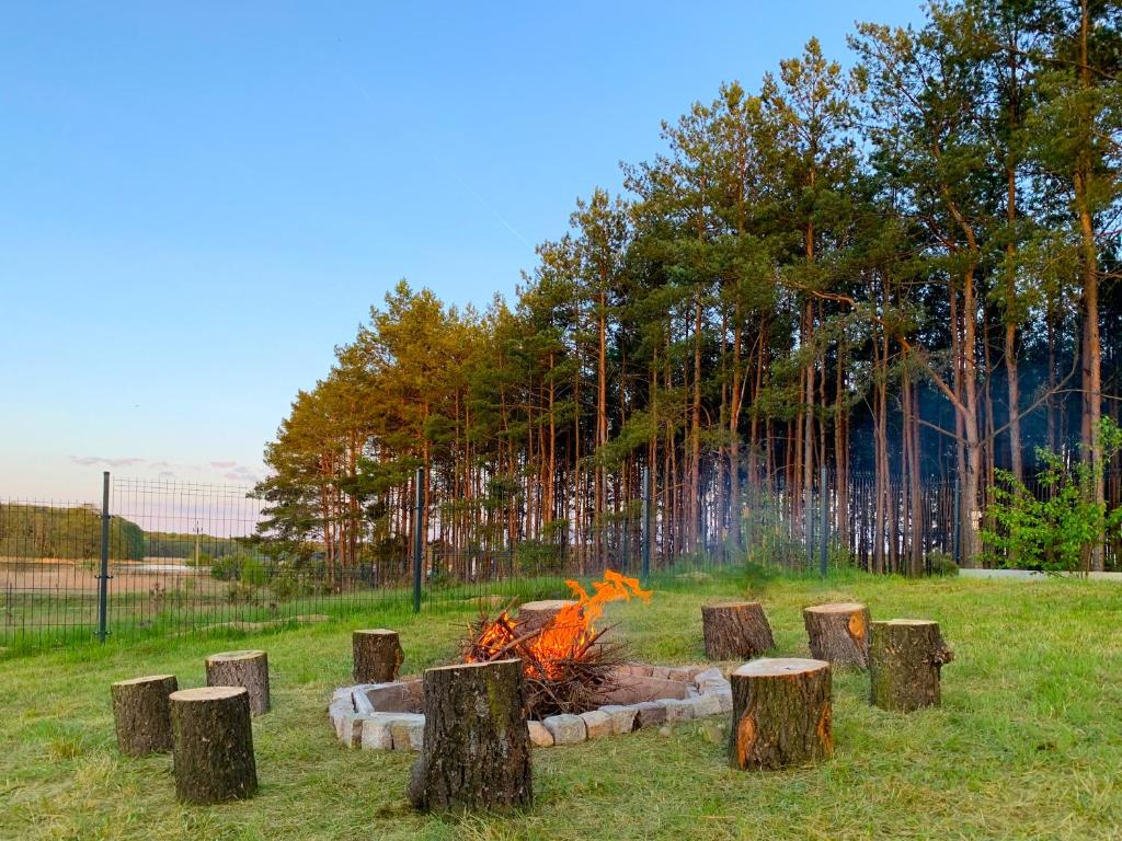 Fotografia z galérie ubytovania Prosportówek - Bronków - Domek nad Jeziorem w Otoczeniu Pięknych Lasów v destinácii Bronków