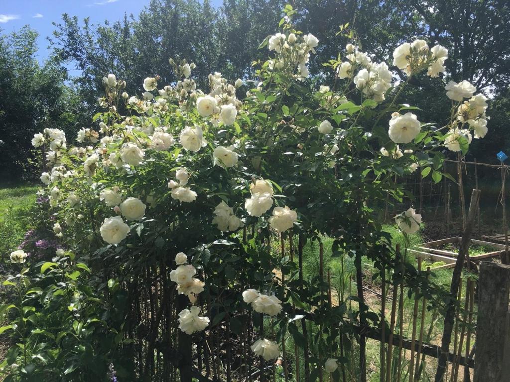 Grange en Maurille - Huis Met Vier Slaapkamers