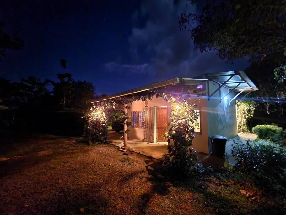 Una casa con le luci di Natale sopra la notte di TROPICAL MINIHOUSE 