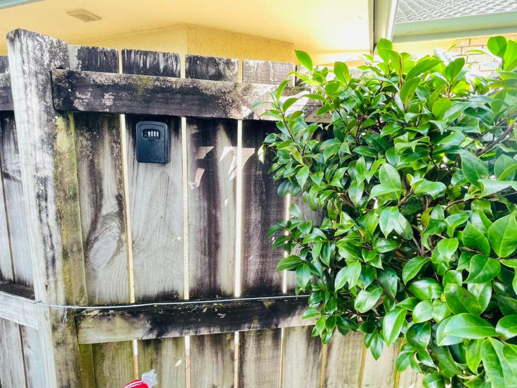 Habour View - Tauranga Central - Resim 20