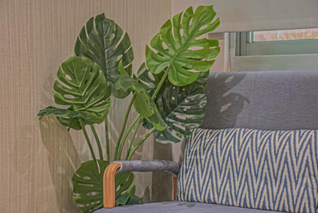 a large green plant sitting next to a couch at Ashare Hotel in Jiaoxi