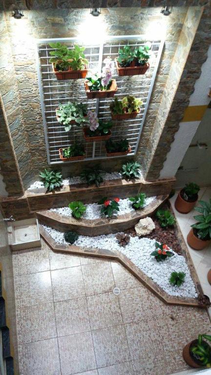 Fotografie z fotogalerie ubytování Hotel El Deportista v destinaci Medellín