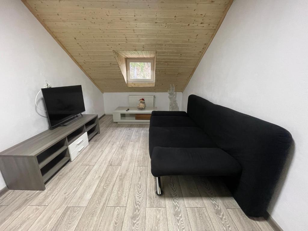 TV a/nebo společenská místnost v ubytování Vila Rustik Straja