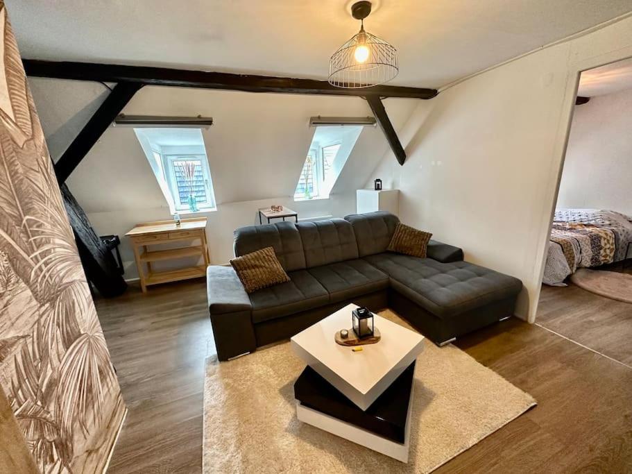 een woonkamer met een bank en een tafel bij Logement entier au coeur de Strasbourg in Straatsburg
