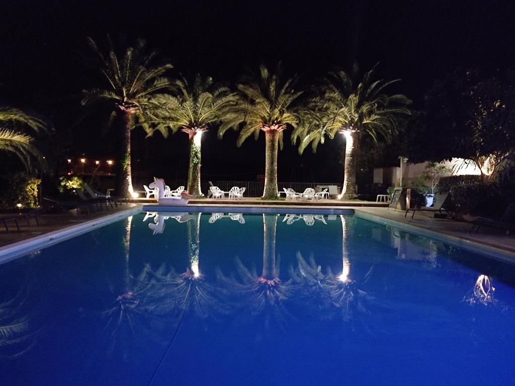 a large swimming pool with palm trees at night at Camping Arutoli in Porto-Vecchio