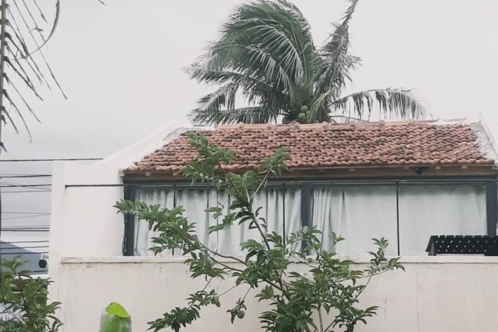 Phú LacにあるMoon homestay Phu Yenのヤシの木が立つ家