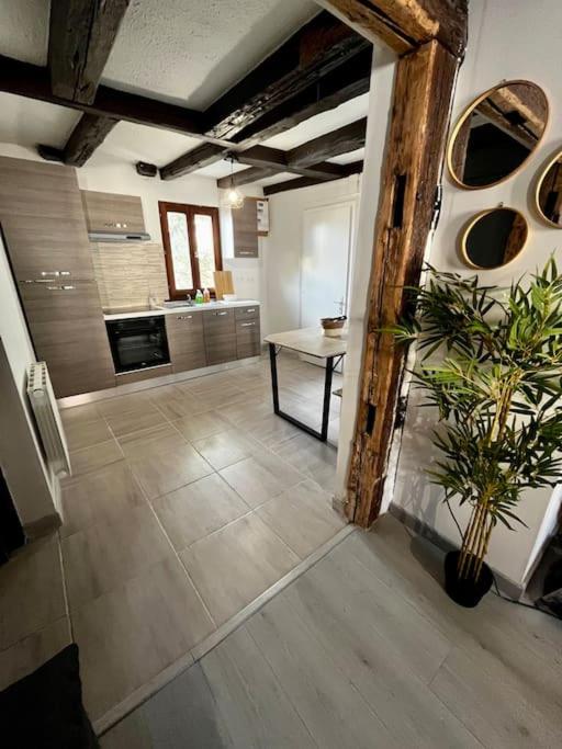 Appartement de charme alsacien, centre historique - 一居室公寓