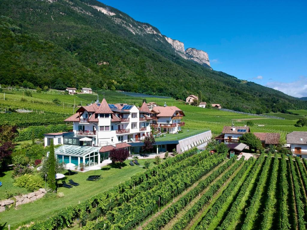 a large house in a vineyard next to a mountain at DAS MATSCHER Residence & Garden Hotel in Appiano sulla Strada del Vino