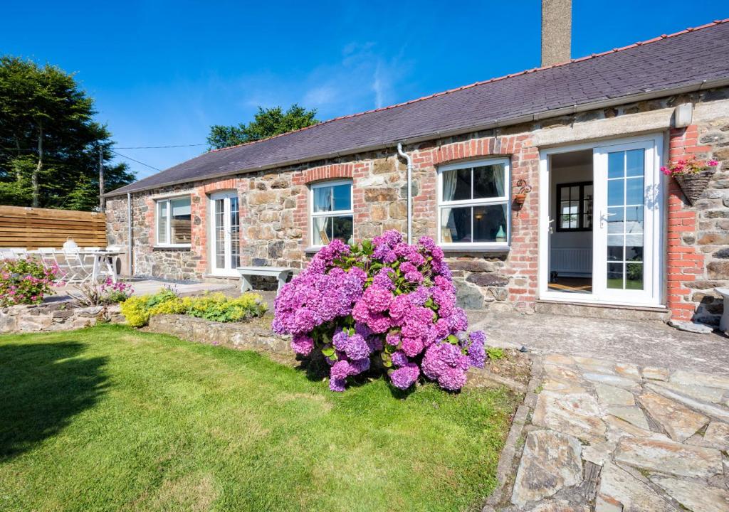 a stone house with purple flowers in the yard at The Shippons in Abersoch