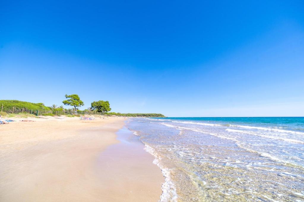 una playa de arena con agua y árboles en el fondo en Camping Las Palmeras en Tarragona