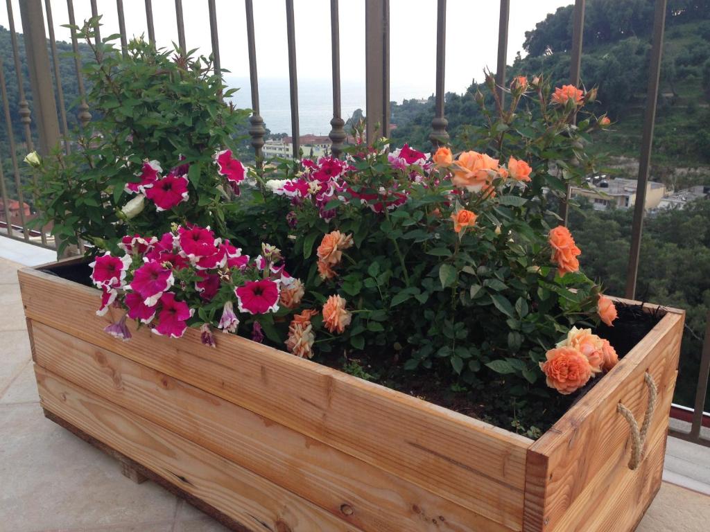 Petrino Apartments - 14