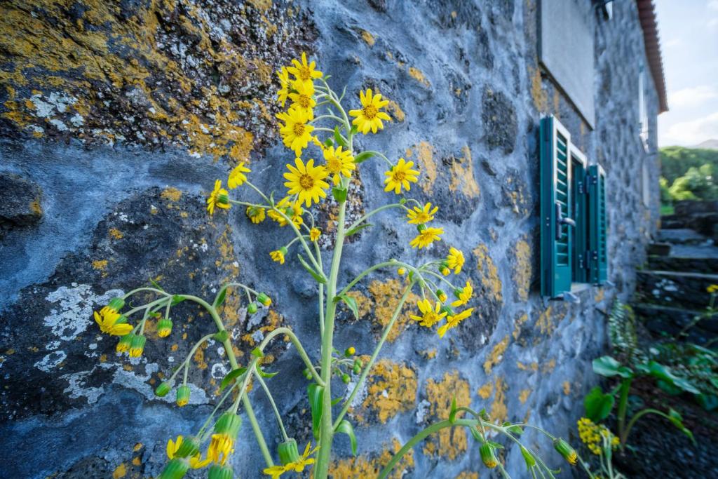 Fotografie z fotogalerie ubytování Stone Home Casa do Caisinho Pico island v destinaci Terra Alta