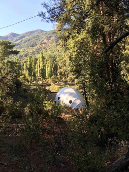 a white tent sitting in the middle of a forest at Cennetin kalbinde size ait bir Kabuk. in Koycegiz