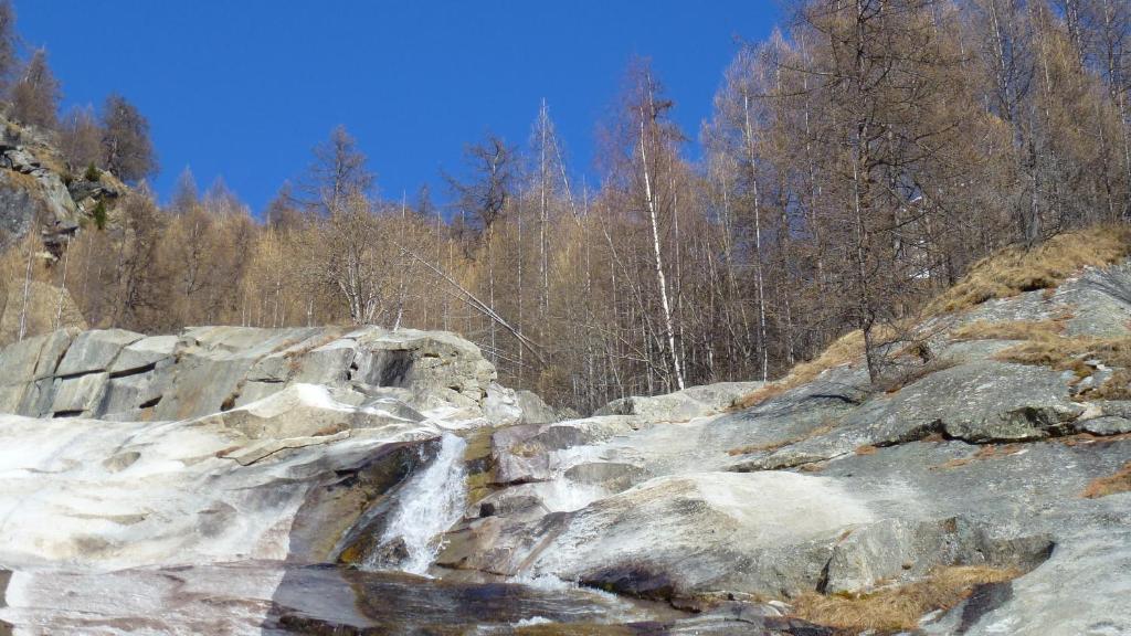 Příroda nedaleko apartmánu