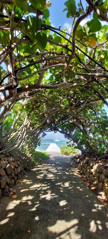 Fotografie z fotogalerie ubytování Emeraude Villas - Bay v destinaci Le François