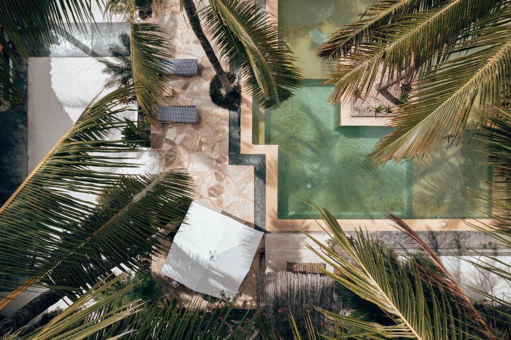 Bazén v ubytování Sahari Zanzibar nebo v jeho okolí