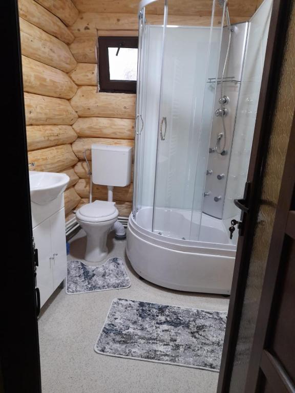 Koupelna v ubytování Cabana Colț De Munte
