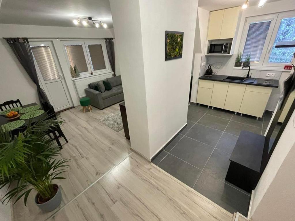 Kuchyň nebo kuchyňský kout v ubytování Apartmány Foresta Jasná