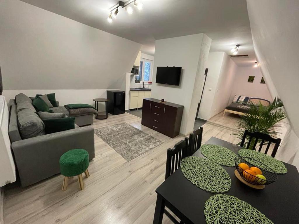 TV a/nebo společenská místnost v ubytování Apartmány Foresta Jasná