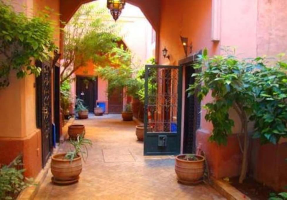 ein Flur voller Topfpflanzen in einem Gebäude in der Unterkunft Jolie petit Riyad avec piscine belle terrasse wifi in Marrakesch