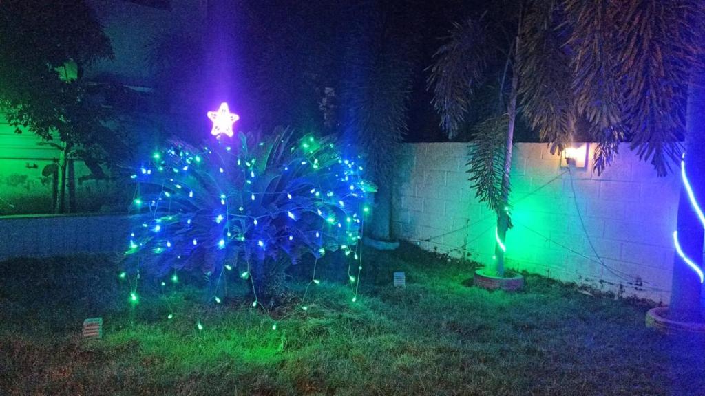a christmas tree with lights in a yard at night at Le Grace P&T in Madurai