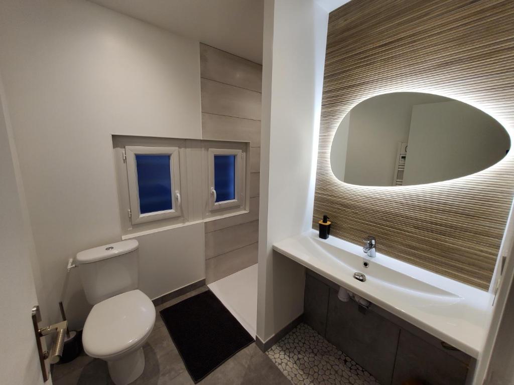 W łazience znajduje się toaleta, umywalka i lustro. w obiekcie Superbe T2 lumineux en centre-ville - parking w mieście Albi