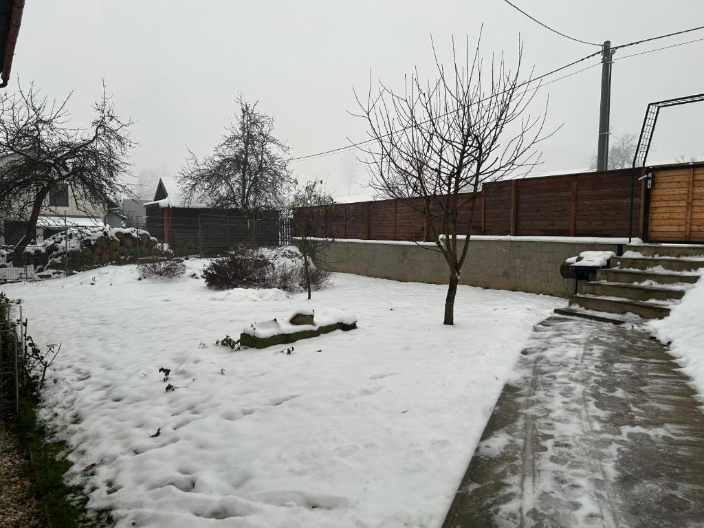 einen schneebedeckten Hof mit einem Baum und einem Zaun in der Unterkunft V uličce in Velké Losiny