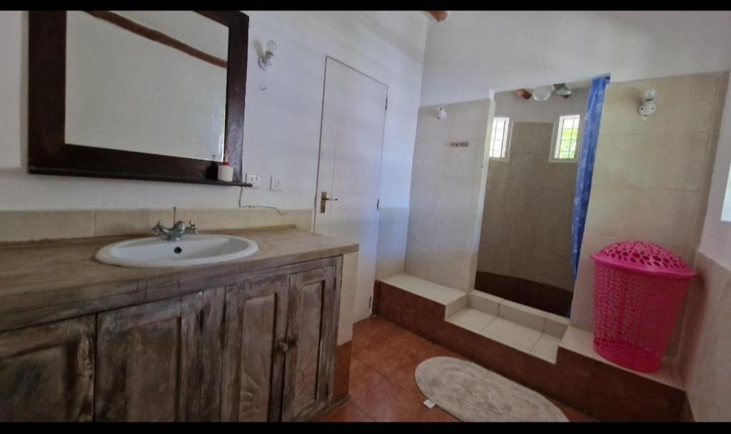 een badkamer met een wastafel, een douche en een spiegel bij Park Marine Estate II in Malindi