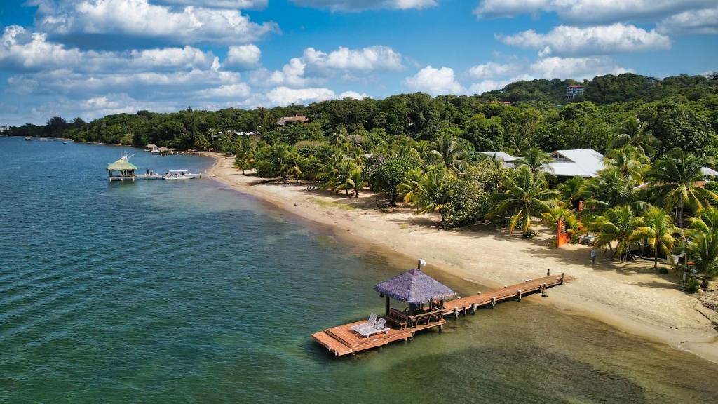 una vista aérea de una playa con muelle en Hummingbird Beach House, en West Bay