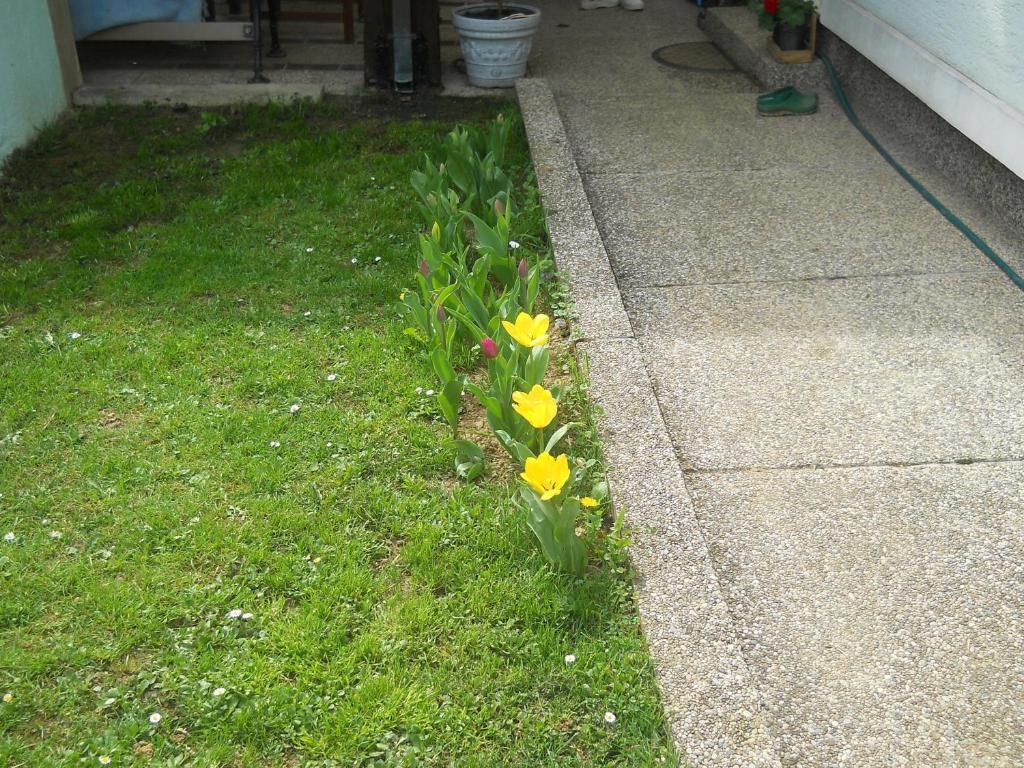 Apartment & Rooms Miboti - 18