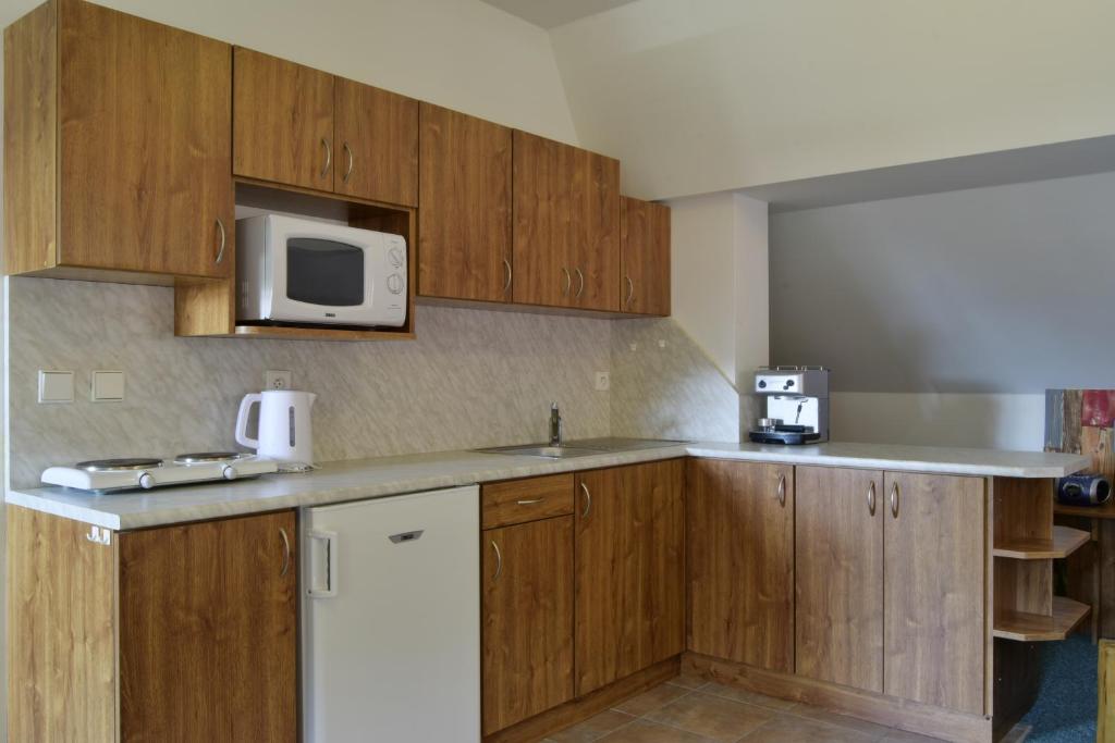 Kuchyň nebo kuchyňský kout v ubytování Apartmány Černý Důl