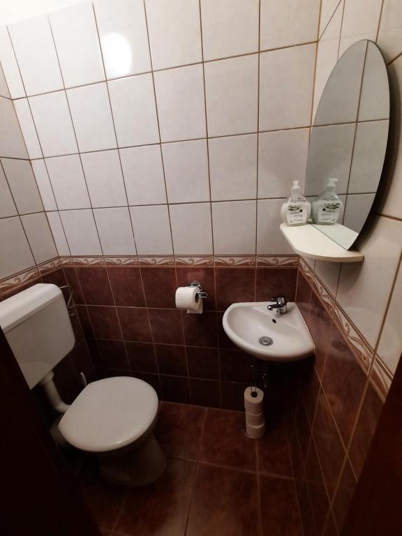 Koupelna v ubytování Boróka Apartman