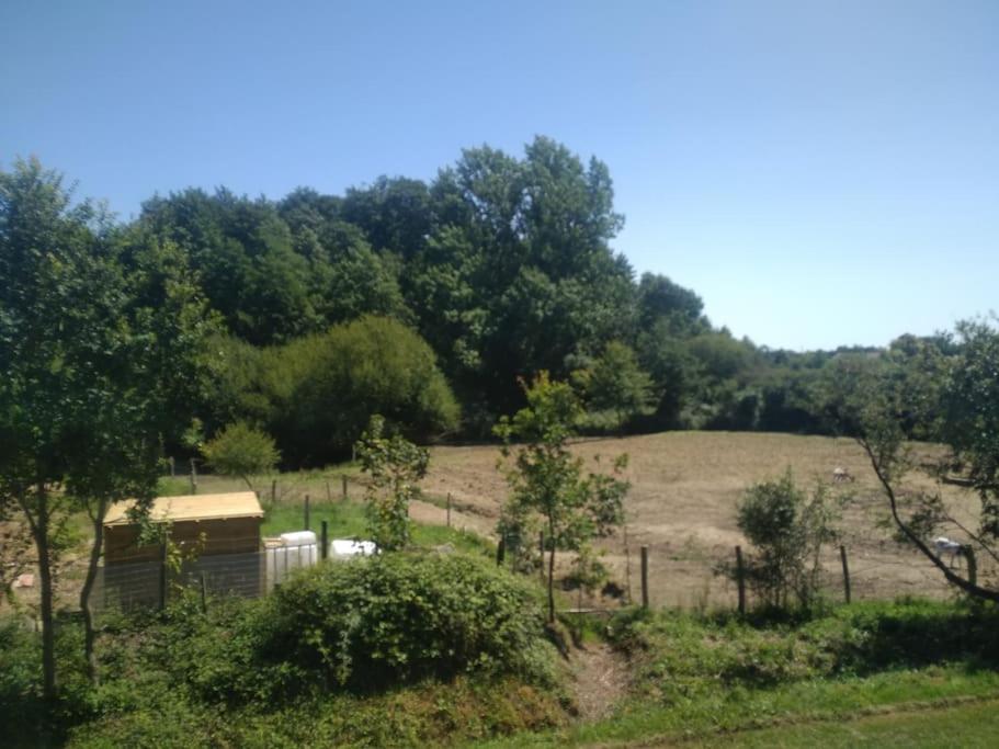 Príroda v okolí dovolenkového domu