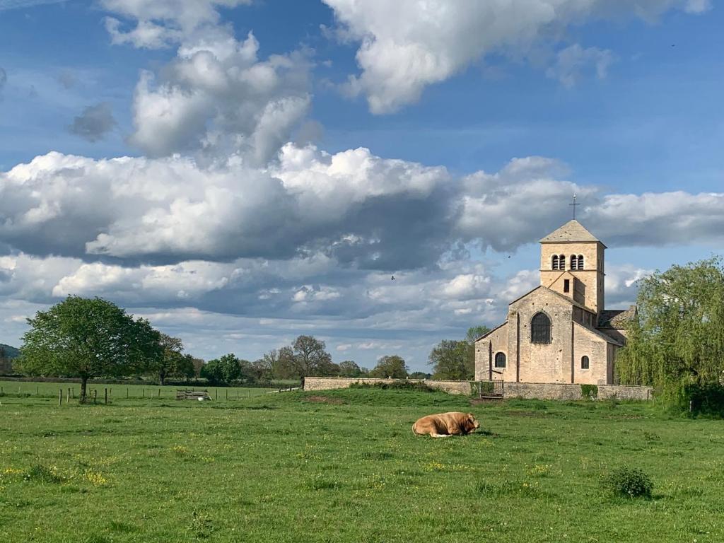 a cow laying in a field in front of a church at Camping Les Voiles Sur Grosne in Savigny-sur-Grosne