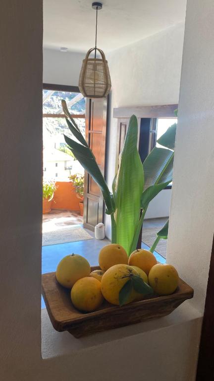 a plate of lemons on a table with a plant at Casa Moni con Vistas al Mar in Playa de Santiago
