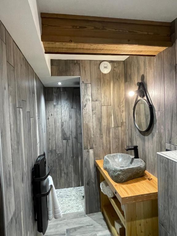 uma casa de banho com paredes de madeira, um lavatório e um espelho. em Appart Hôtel Le JAS em Ancelle