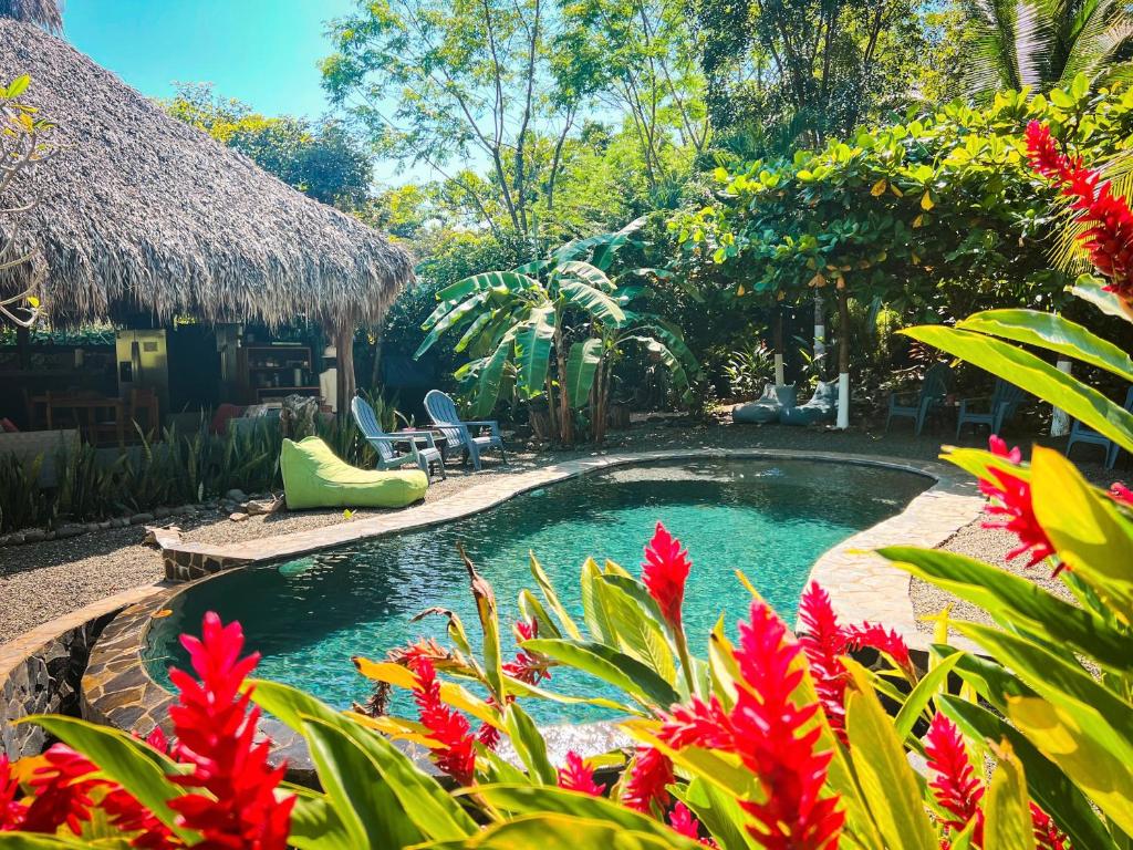 una piscina en un patio con flores rojas en Glamping Hotel Flor y Bambu en Playa Grande