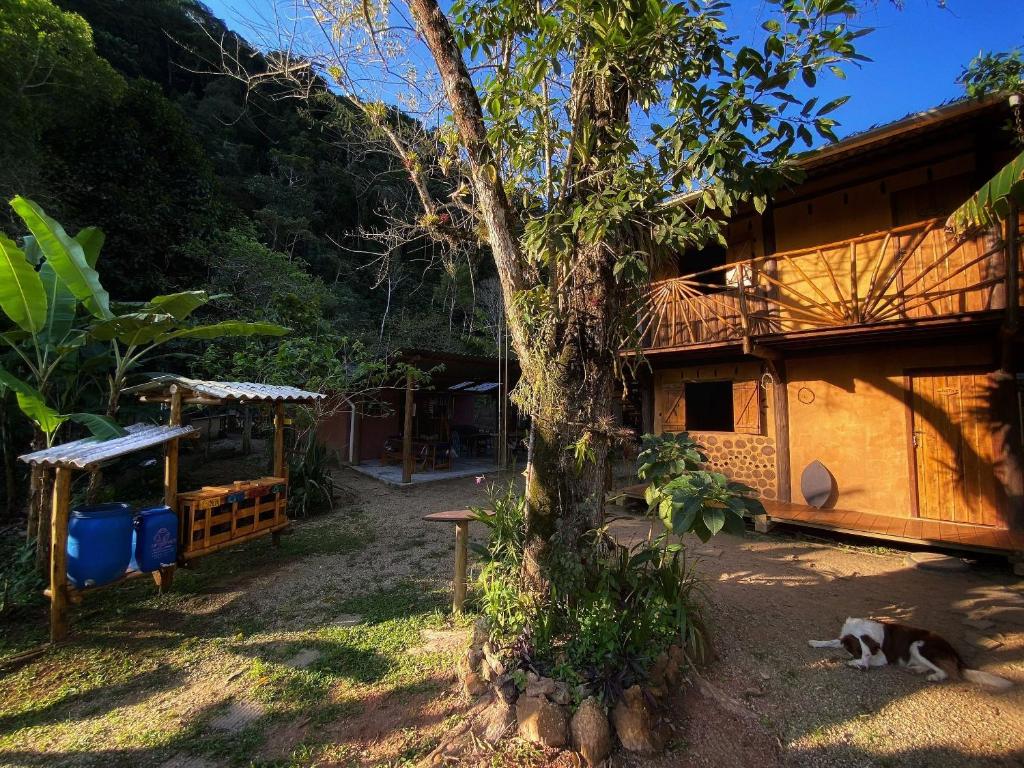 um gato deitado em frente a uma casa ao lado de uma árvore em Cambuca Surf Skate em Ubatuba