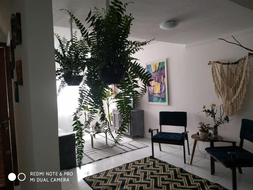 a living room with two chairs and a plant at Casa em Balneário Camboriú - próxima à praia in Balneário Camboriú