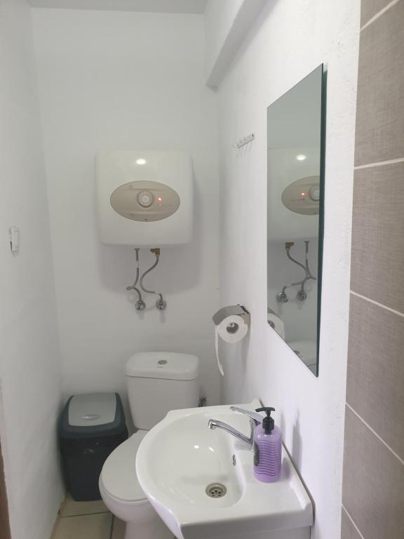 a white bathroom with a toilet and a sink at Vila Dionysos Brasov in Braşov