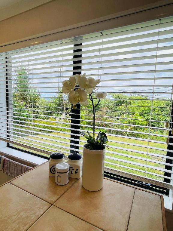 Habour View - Tauranga Central - Resim 15