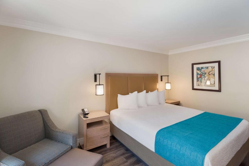 Best Western Woodland Hills - Camera King Con Patio - Non Fumatori
