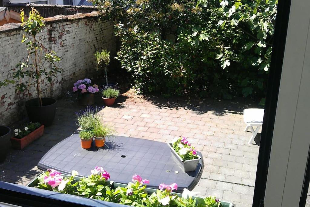 einen Garten mit Topfpflanzen und Blumen auf einer Terrasse in der Unterkunft charming house with 3 bedrooms & terrace 10 minutes from city centre in Antwerpen