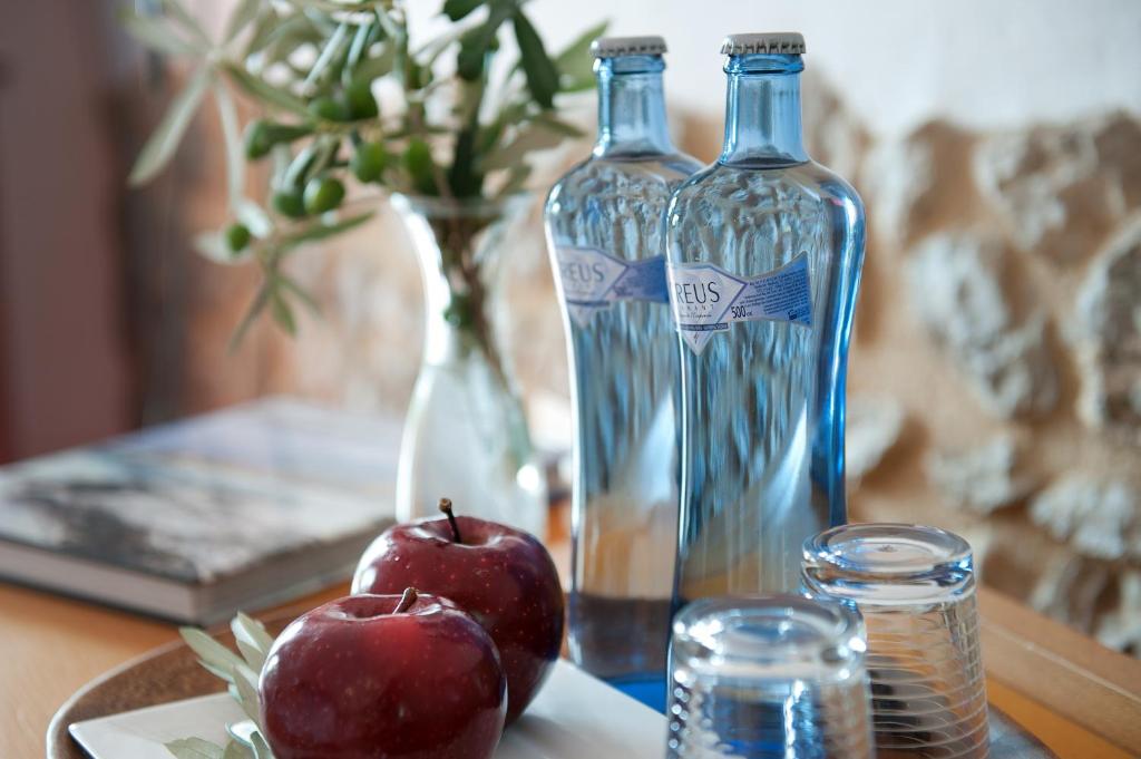 Nápoje v ubytování Mas Falgarona Hotel Boutique & SPA