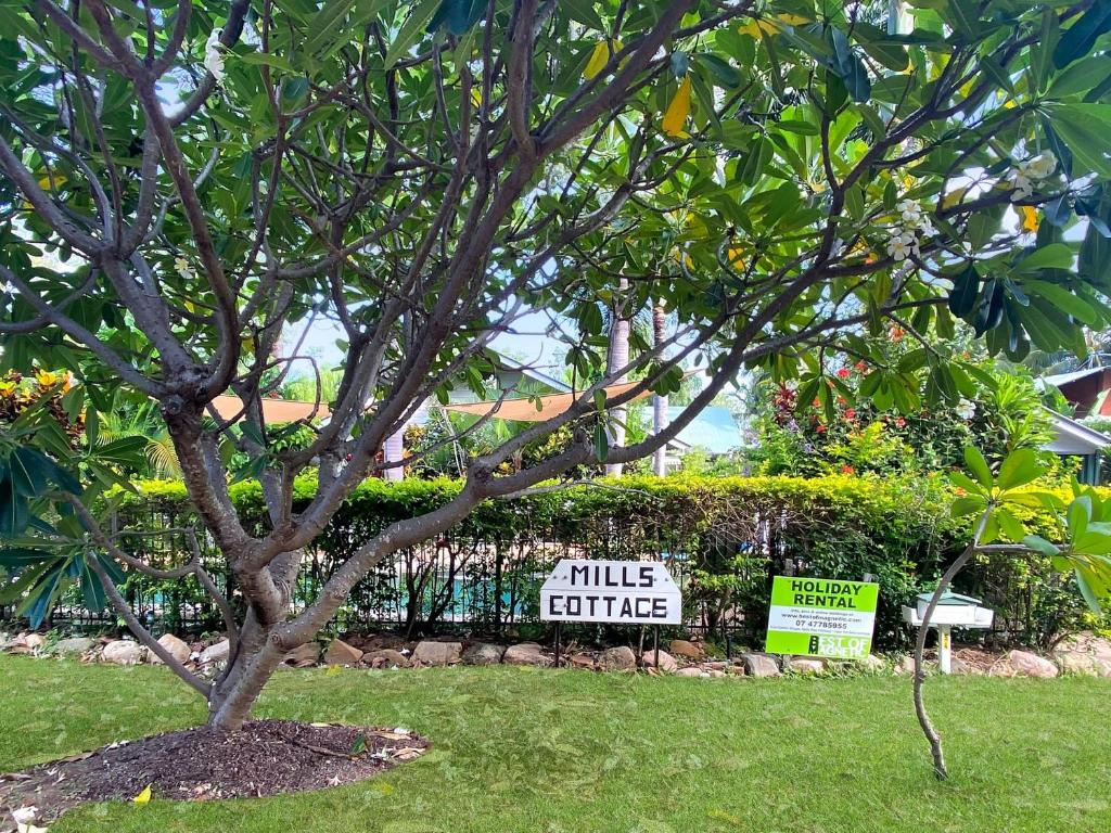 un arbre dans une cour avec un petit panneau de café dans l'établissement Mills Cottage, à Arcadia