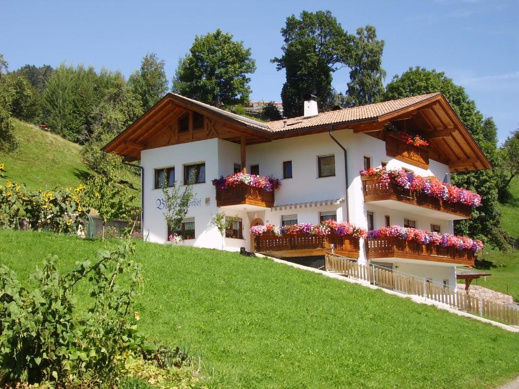 Κήπος έξω από το Boznermüllerhof - Geranie