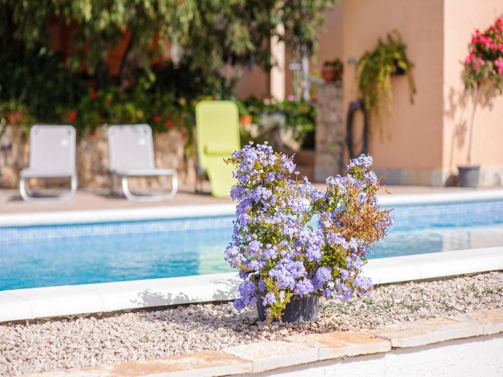 Bazén v ubytovaní Holiday Home Rokoko alebo v jeho blízkosti